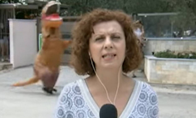 Επικό: Ενας... δεινόσαυρος έτρεχε πίσω από την ρεπόρτερ της ΕΡΤ!