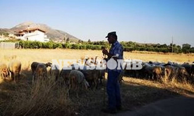 ΕΛΓΑ: Πότε θα πληρωθούν οι αποζημιώσεις του 2019 