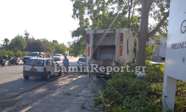 Φθιώτιδα: Σφήκα τσίμπησε οδηγό απορριμματοφόρου - Ακολούθησε πανικός