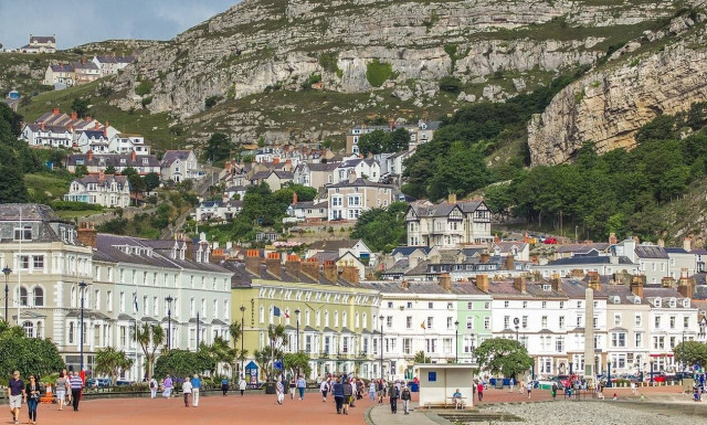 Φόβος και τρόμος τα σκυλιά-ρακούν: Βρωμάνε και επιτίθενται σε ανθρώπους