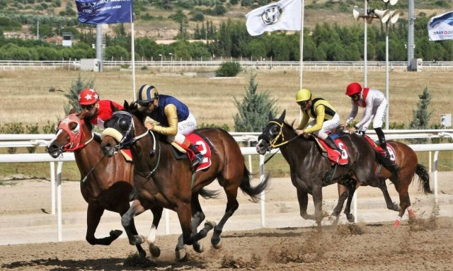 Markopoulo Park: Δέκα καθαρόαιμοι ίπποι διεκδικούν το Κύπελλο Ηνιόχου