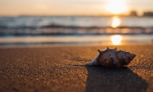 Επίδομα αδείας: Υπολογίστε πόσες ημέρες δικαιούστε και πόσα χρήματα θα πάρετε