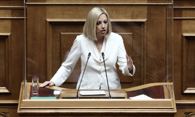 Γεννηματά για Μάτι: Καίγονταν άνθρωποι και αυτοί έστηναν σόου