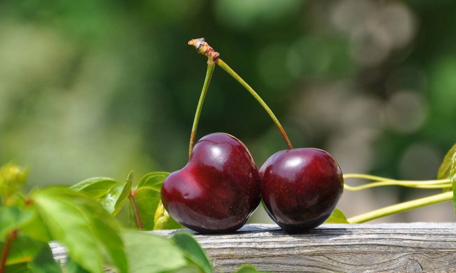 Πέντε λόγοι για να εντάξετε τα κεράσια στη διατροφή των παιδιών