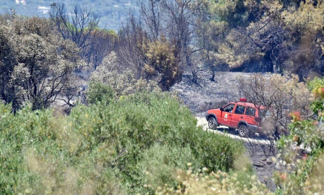 Σαράντα επτά πυρκαγιές το τελευταίο 24ωρο σε όλη την Ελλάδα