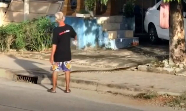 Δεν χαμπαριάζει αυτός ο άντρας: Κάνει τον τροχονόμο σε έναν… πύθωνα! (vid)