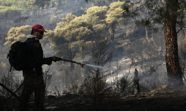 Φωτιά ΤΩΡΑ στη Βοιωτία 