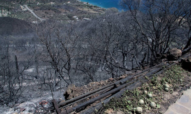 Εισαγγελική παρέμβαση για τις φωτιές σε Κύθηρα και Μάνη το 2017