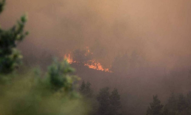Μεγάλη φωτιά στην Κεφαλλονιά