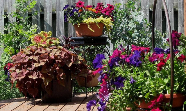 Φτιάξτε τη δική σας γλάστρα από αυγά και κερδίστε τις εντυπώσεις 