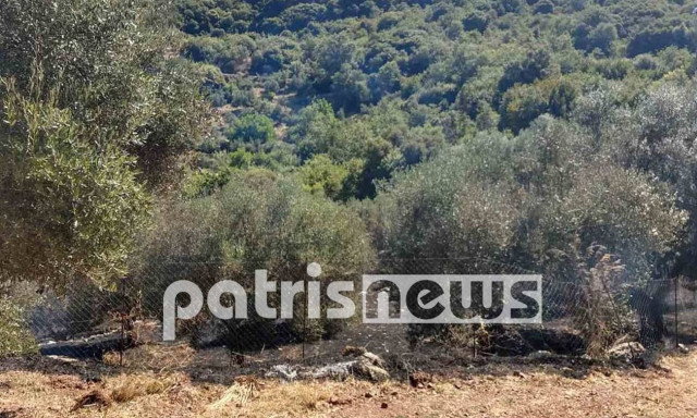 Φωτιά στην Ηλεία: Στη νεκροψία οι απαντήσεις για τον νεκρό άνδρα στη Ζαχάρω