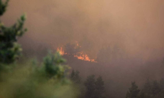 Εξήντα τέσσερις πυρκαγιές εκδηλώθηκαν το τελευταίο 24ωρο
