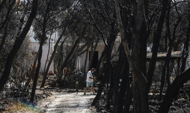 Μάτι - Μακάβριο: Έθαψαν τον Μάιο του 2020 νεκρή από την πυρκαγιά του 2018