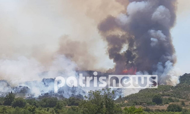 Φωτιά ΤΩΡΑ στην Ηλεία 