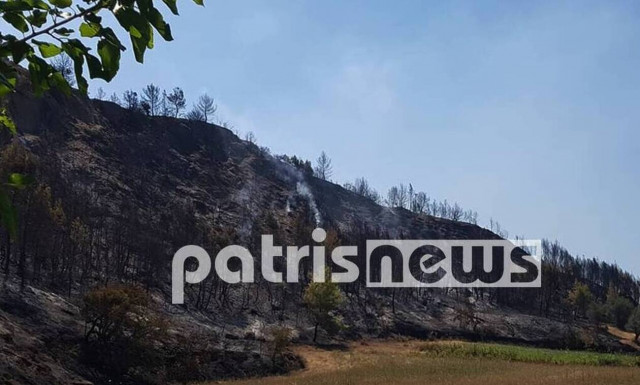 Φωτιά ΤΩΡΑ στην Ηλεία