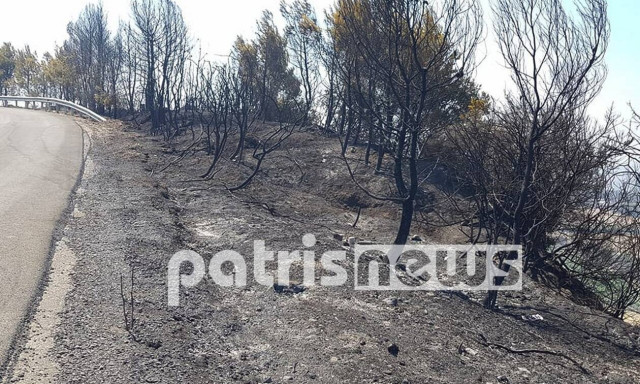 Ηλεία: Καμένη γη άφησε πίσω της η πυρκαγιά στα χωριά της Ολυμπίας – Θλιβερές εικόνες