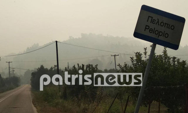 Φωτιά στην Ηλεία: Πυκνοί καπνοί και δύσβατα σημεία οι «εχθροί» των πυροσβεστών