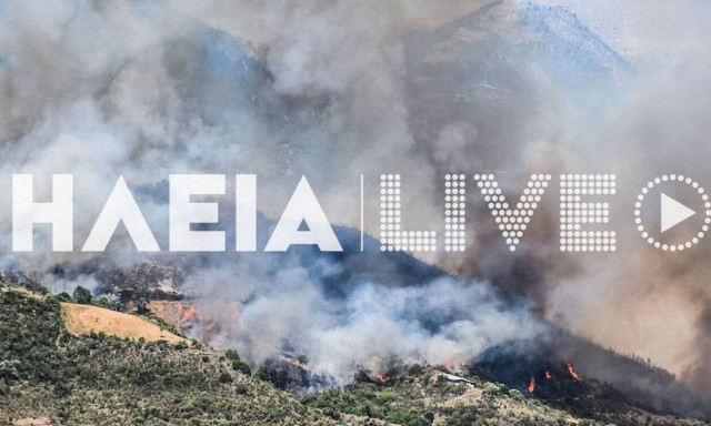 Φωτιά στην Ηλεία: Καίει δασική έκταση - Ενισχύθηκαν οι πυροσβεστικές δυνάμεις