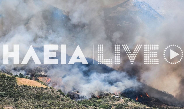 Φωτιά στην Ηλεία - Καίει δασική έκταση (pics)