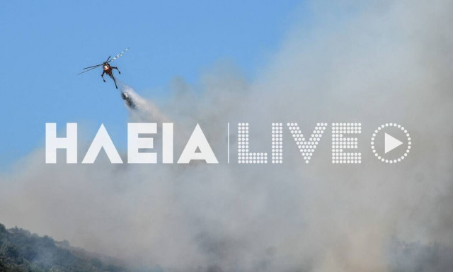 Φωτιά στην Ηλεία: Καίει δασική έκταση στην περιοχή Πανόπουλο