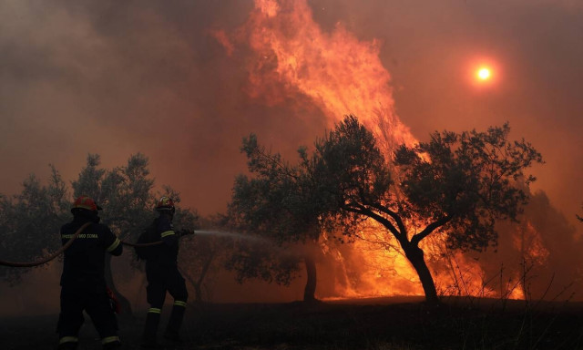 Φωτιά στην Ηλεία: Πιθανούς εμπρησμούς εξετάζουν Πυροσβεστική και Αστυνομία
