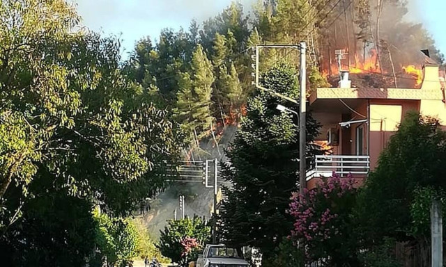 Σε πύρινο κλοιό η Ηλεία – Νέα φωτιά στην Ανδρίτσαινα 