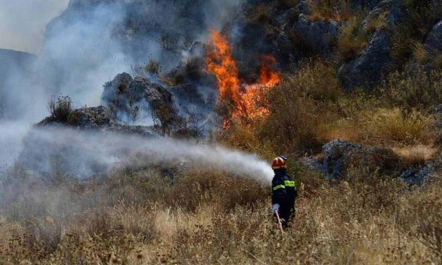 Άγιος Νικόλαος: Μεγάλη πυρκαγιά σε δασική έκταση - Επιχειρούν 60 πυροσβέστες