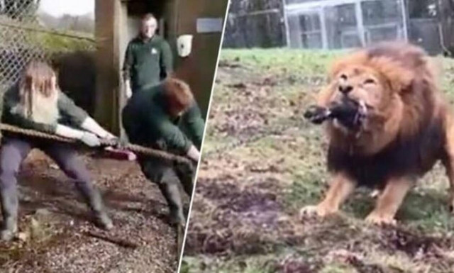 Αυτή είναι η πιο τρελή μονομαχία που είδατε ποτέ!