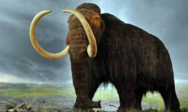 Σιβηρία: Λείψανα μαμούθ ηλικίας 10.000 ετών εντοπίστηκαν σε λίμνη