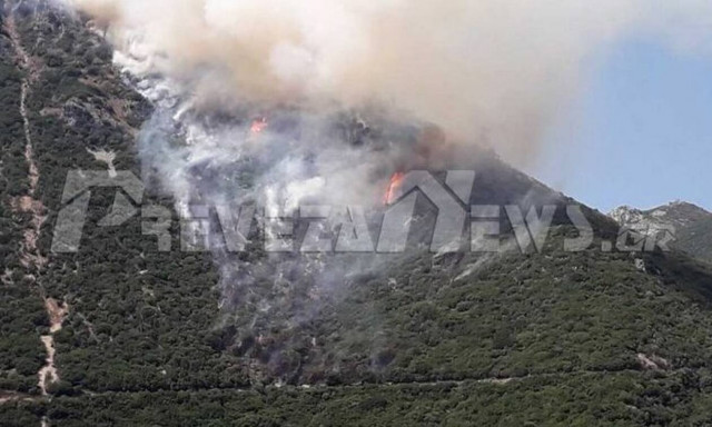 Φωτιά στην Πρέβεζα - Μεγάλη κινητοποίηση της Πυροσβεστικής