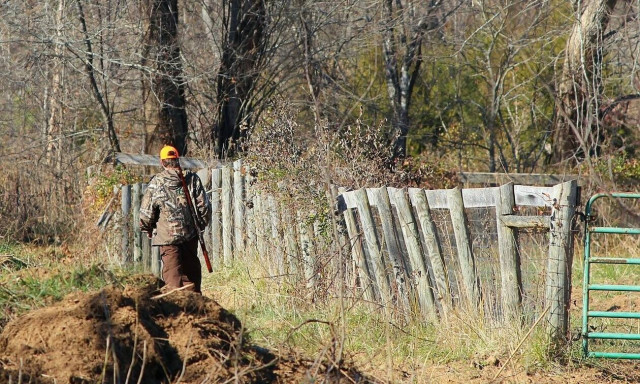 Κυνηγετική περίοδος: Ο ΔΕΔΔΗΕ εφιστά την προσοχή των κυνηγών