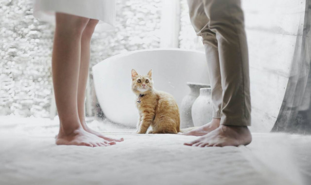 Πώς θα ξεπεράσεις έναν χωρισμό σε χρόνο dt!