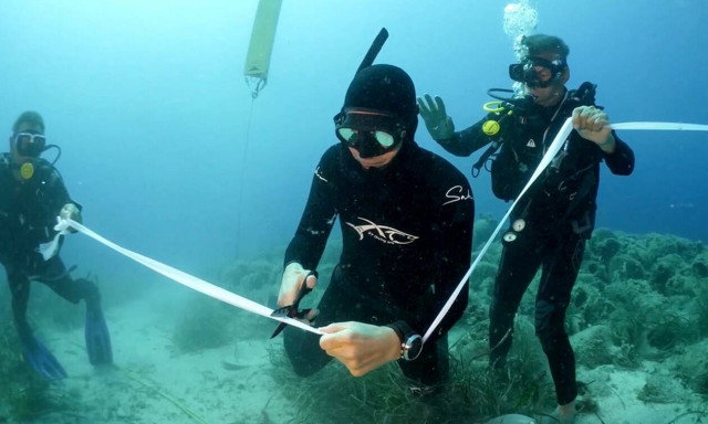Αλόννησος: Εγκαινιάστηκε το πρώτο υποβρύχιο μουσείο της Ελλάδας - Ο «Παρθενώνας των ναυαγίων»