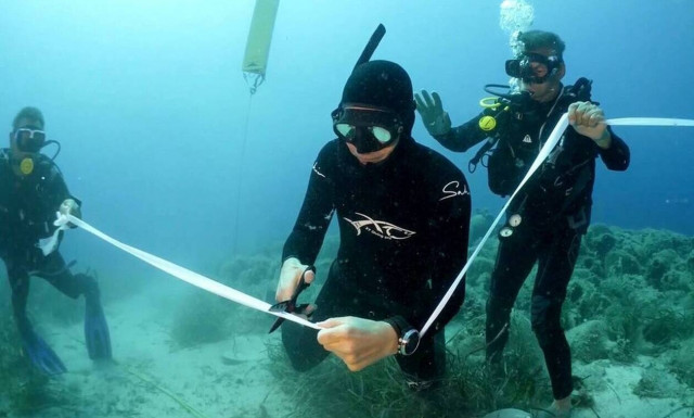 Greece inaugurates its first underwater museum off Alonissos island	