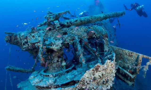 Κεφαλονιά: Μαγικές εικόνες από υποβρύχιο ναυάγιο...79ετίας!