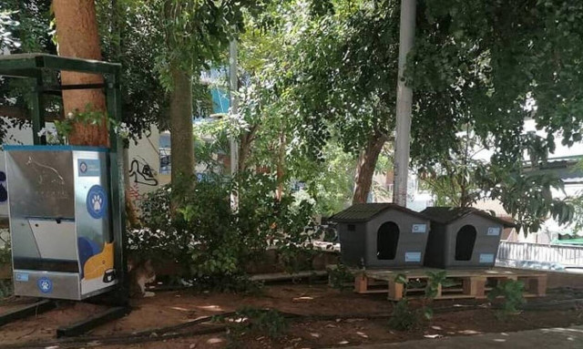 Δήμος Αθηναίων: Τοποθετούνται σπιτάκια για γάτες σε γειτονιές της πόλης
