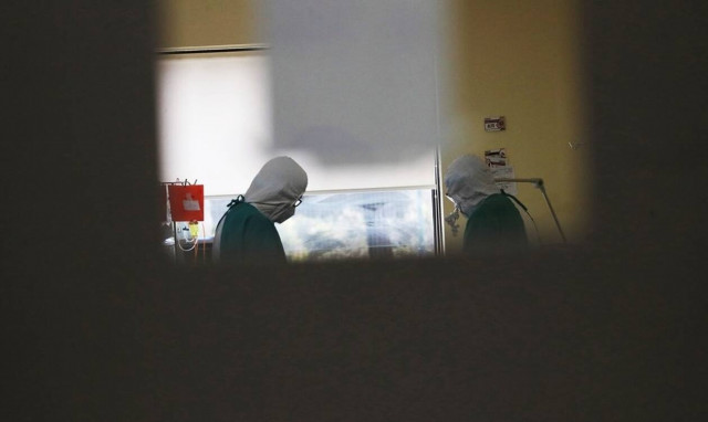 Κορονοϊός: Ελληνοαμερικανοί επιστήμονες ανακοίνωσαν «κοκτέιλ» αντισωμάτων που φρενάρει τον ιό σε ζώα