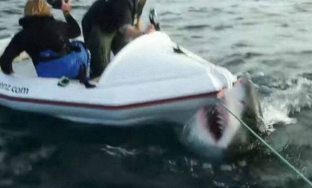 Τρόμος: Ούτε στον εχθρό σου να μην τύχει αυτό το πράγμα!