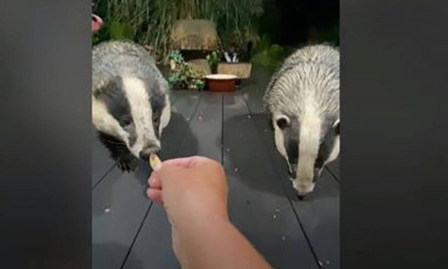 Το πιο γλυκό βίντεο που θα δεις σήμερα!