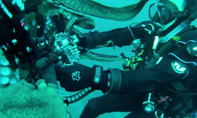 Επική «μάχη» δύτη με χταπόδι!