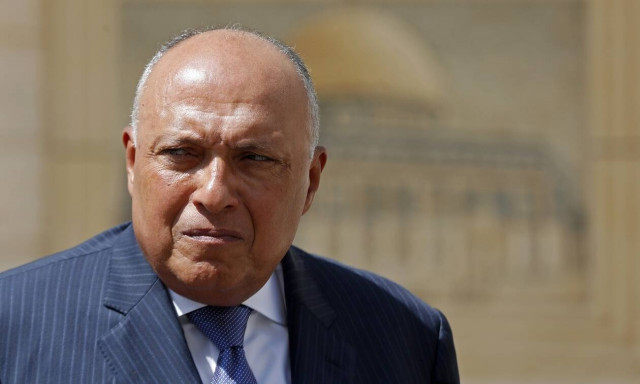 Σούκρι για ΑΟΖ Ελλάδας - Αιγύπτου: Να αξιοποιήσουμε στο μέγιστο τους διαθέσιμους πόρους