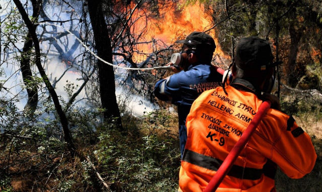 Έβρος: Φωτιά στο Σουφλί