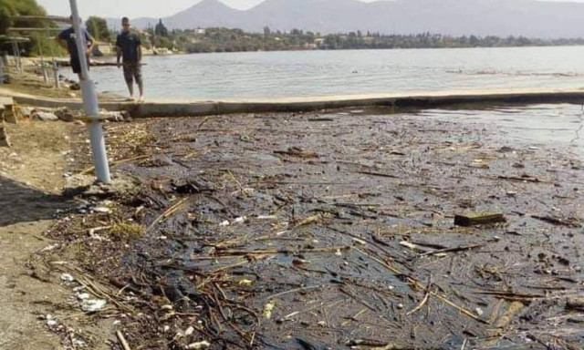Ερέτρια: Ακατάλληλες οι παραλίες για μπάνιο - Γέμισαν φερτά υλικά (pics)