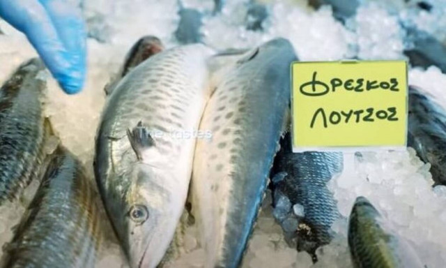 «Φρέσκος Λούτσος»: Η καλύτερη ελληνική διαφήμιση που είδαμε ποτέ! 