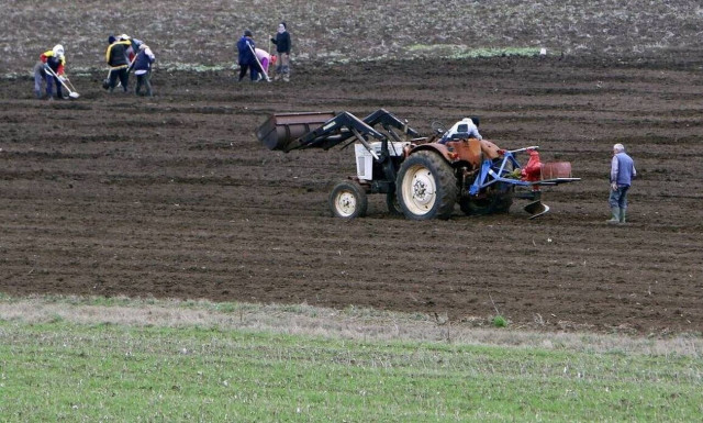 Φορολογικές δηλώσεις 2020: Ποιοι αγρότες κερδίζουν φέτος έκπτωση φόρου έως 2.100 ευρώ