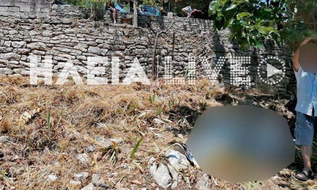 Τραγωδία στην Ηλεία - Έπεσε από δέντρο και σκοτώθηκε
