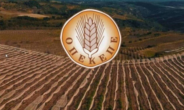 ΟΠΕΚΕΠΕ: Νέα πληρωμή 2,6 εκατ. ευρώ σε 6.013 δικαιούχους