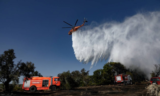Φωτιές στην Ελλάδα: Υπό μερικό έλεγχο οι δασικές πυρκαγιές σε ολόκληρη τη χώρα