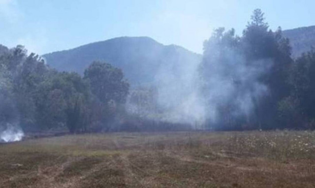 Φωτιά ΤΩΡΑ στην Πρέβεζα (video)