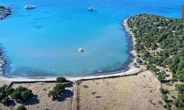 Εύβοια: Αυτό είναι το «πιο εξωτικό... μαντρί της Ελλάδας» (vid)